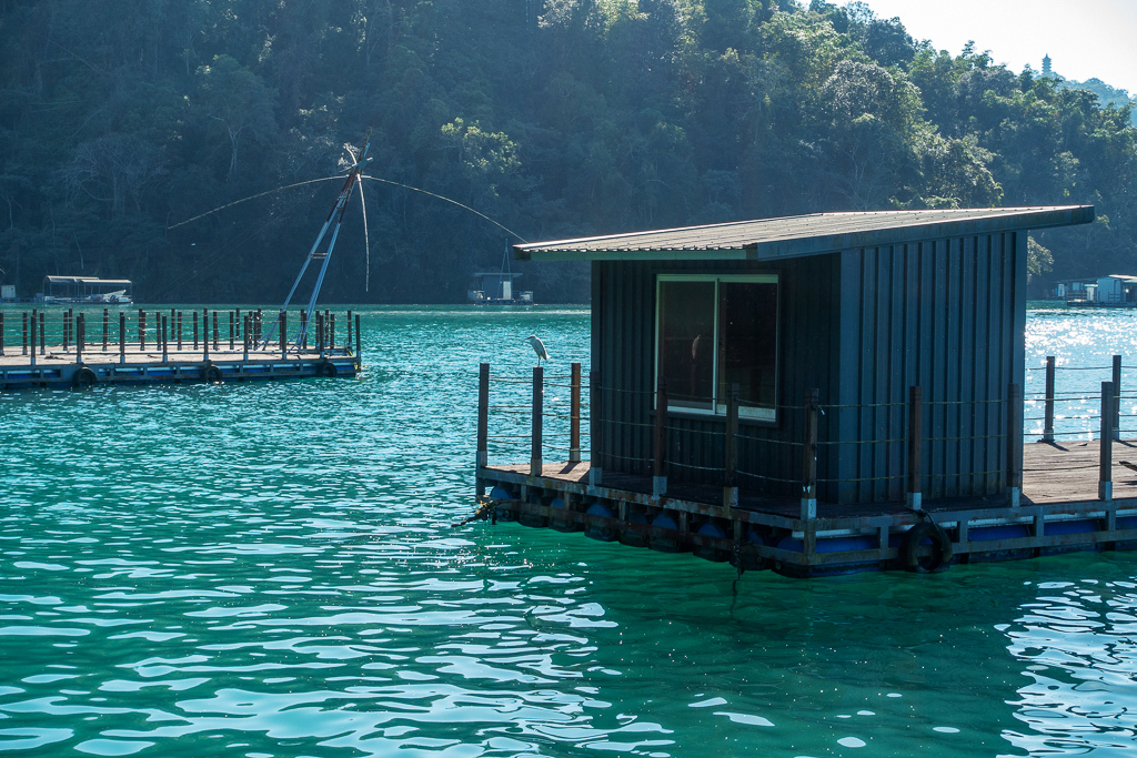 DSC06780.jpg DSC06780.jpg