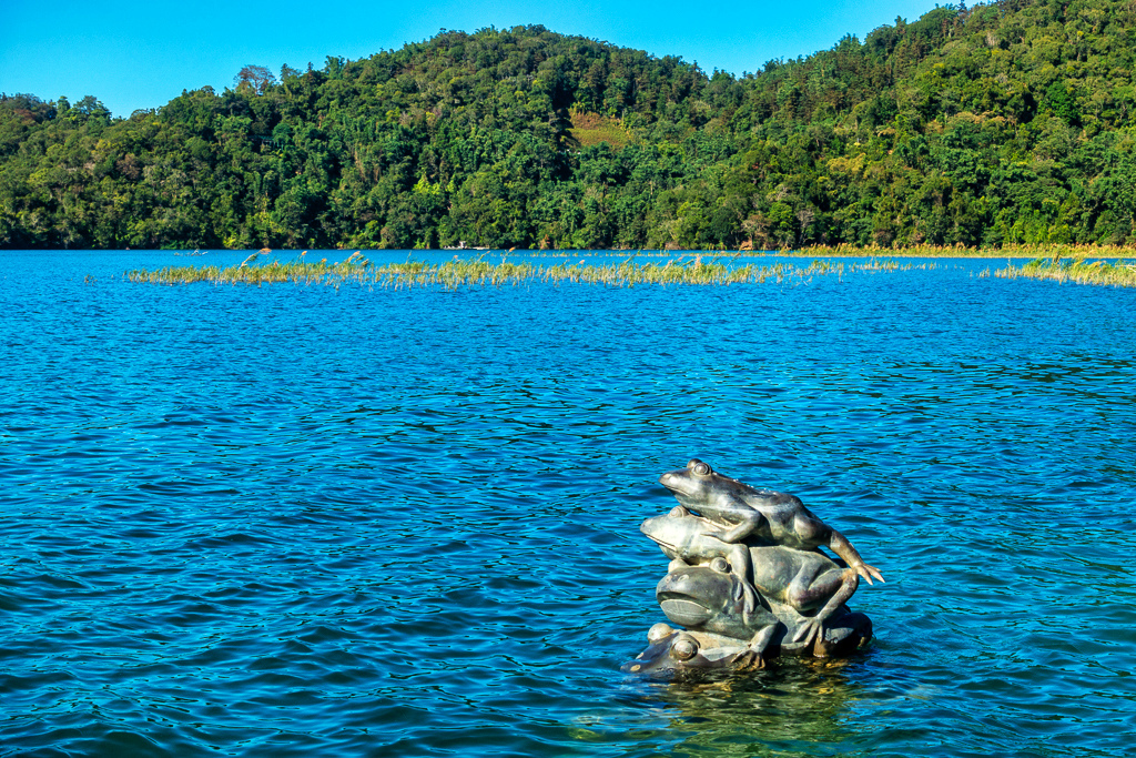 DSC06782-編輯.jpg DSC06782-編輯.jpg