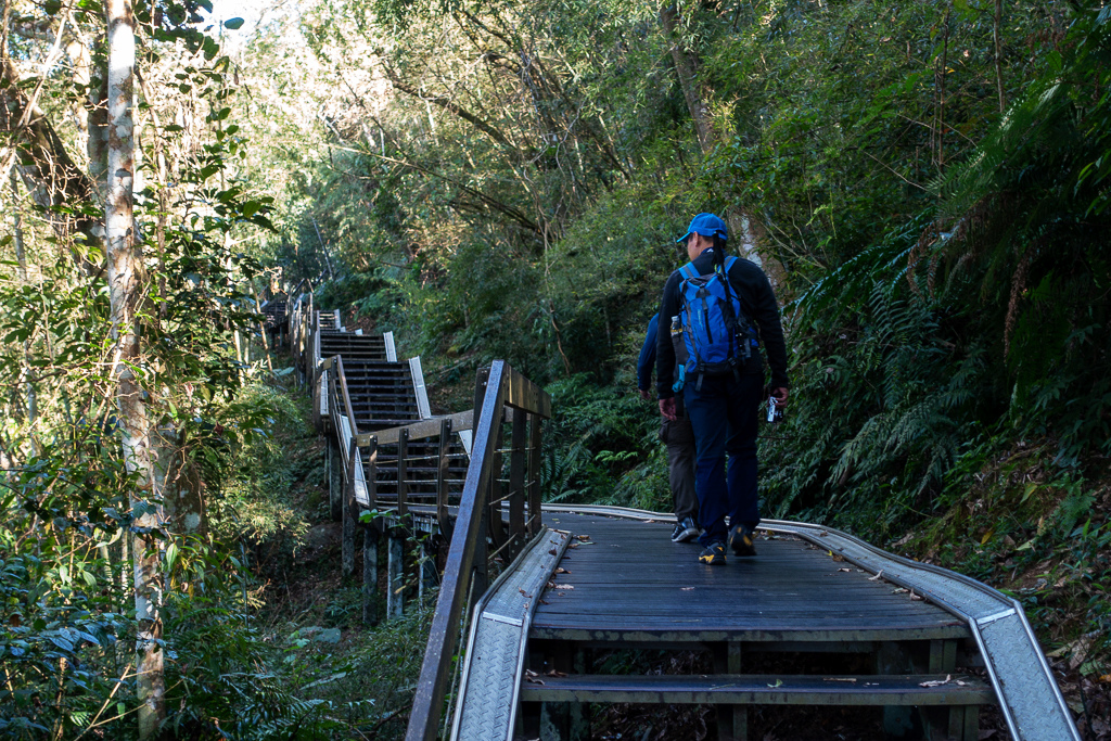 DSC06789.jpg DSC06789.jpg