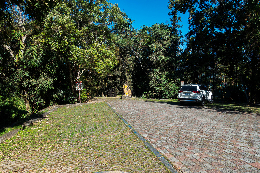 DSC06696.jpg DSC06696.jpg