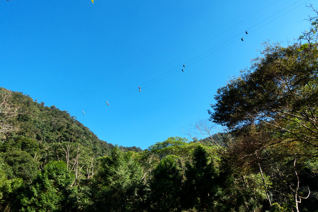 DSC06795.jpg DSC06795.jpg