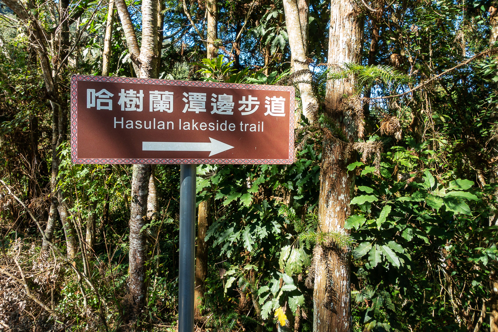 DSC06700.jpg DSC06700.jpg