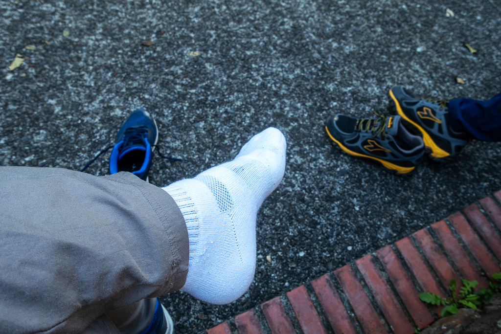 DSC06803.jpg DSC06803.jpg