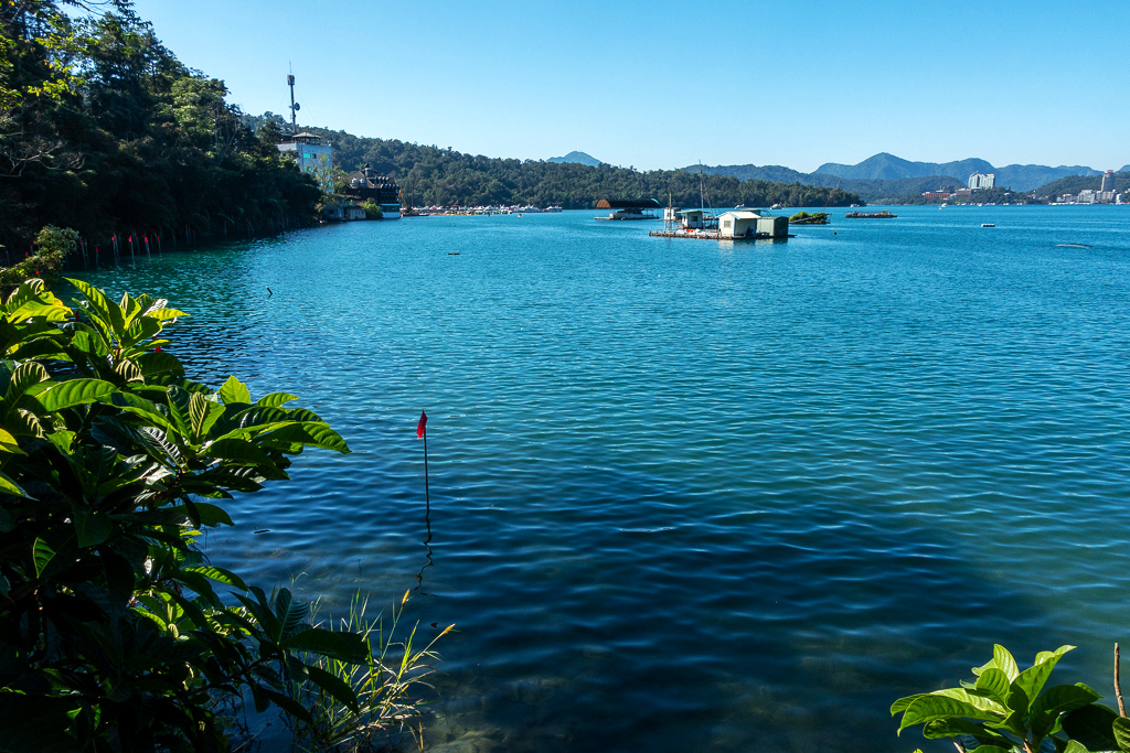 DSC06717.jpg DSC06717.jpg