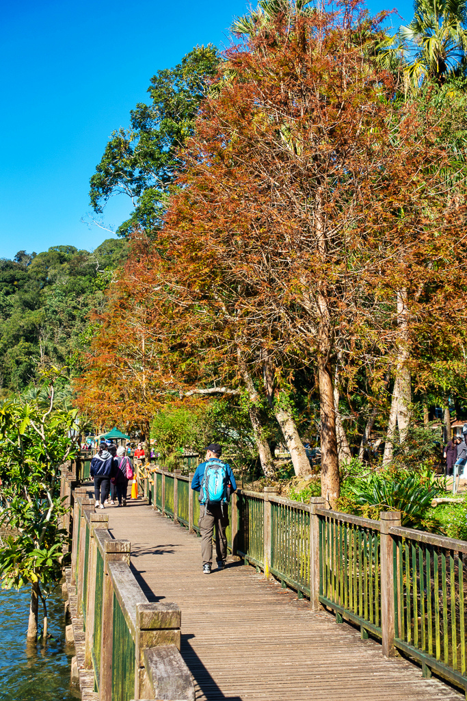 DSC06725-編輯.jpg DSC06725-編輯.jpg