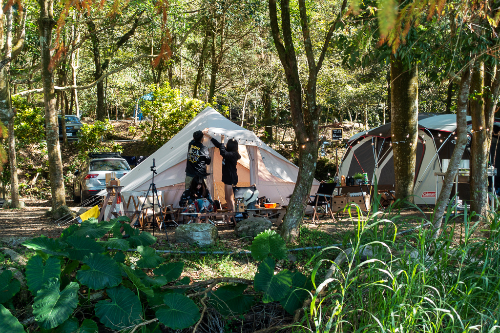 DSC06726.jpg DSC06726.jpg