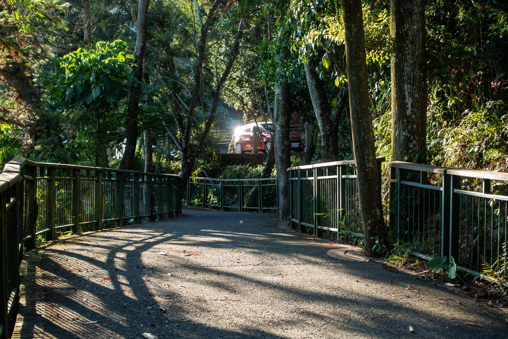 DSC06827.jpg DSC06827.jpg