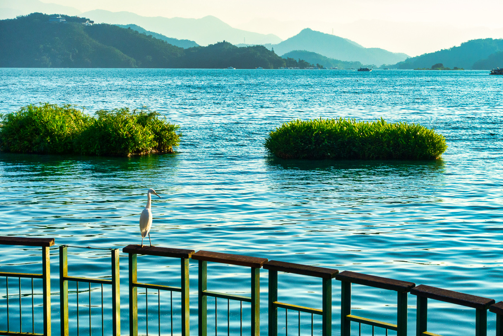 DSC06849-編輯.jpg DSC06849-編輯.jpg