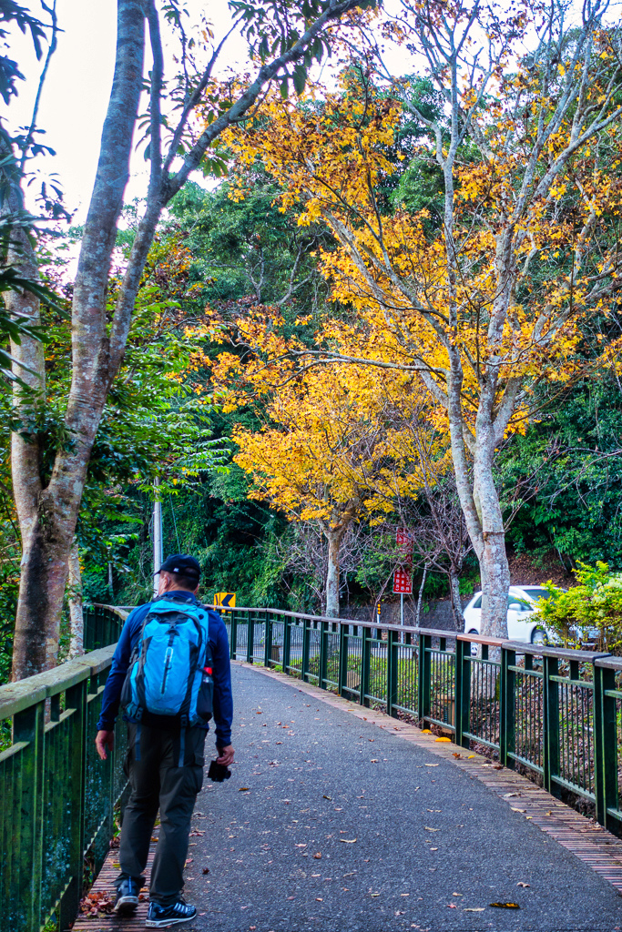 DSC06873-編輯.jpg DSC06873-編輯.jpg