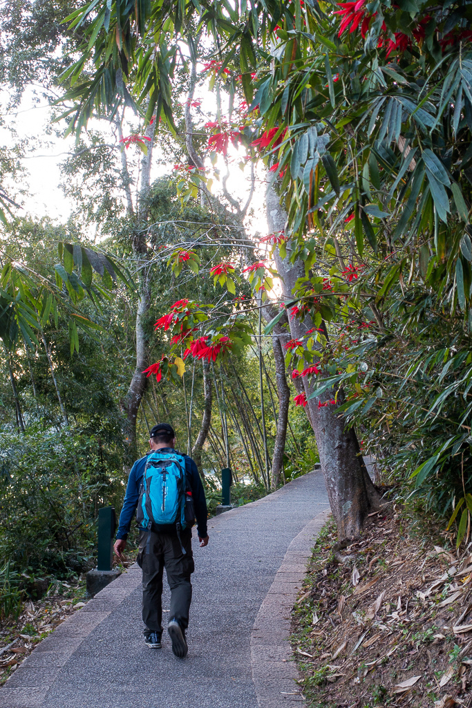 DSC06917.jpg DSC06917.jpg