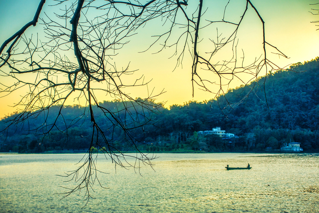 DSC06923-編輯.jpg DSC06923-編輯.jpg