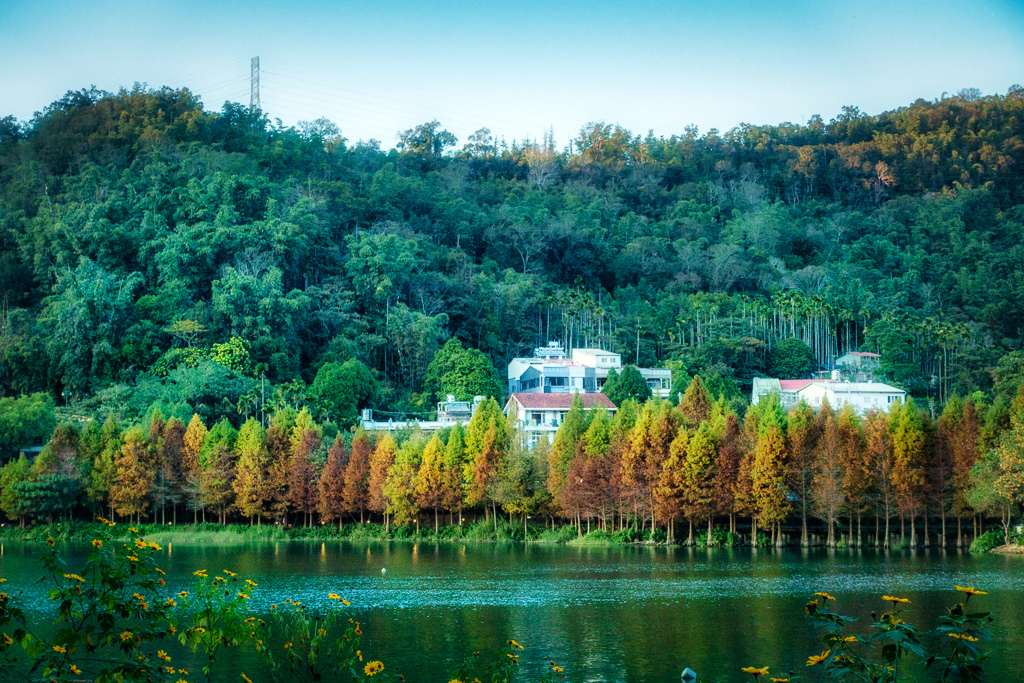 DSC06925-編輯.jpg DSC06925-編輯.jpg