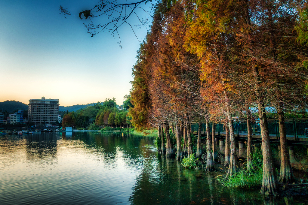 DSC06931-編輯.jpg DSC06931-編輯.jpg