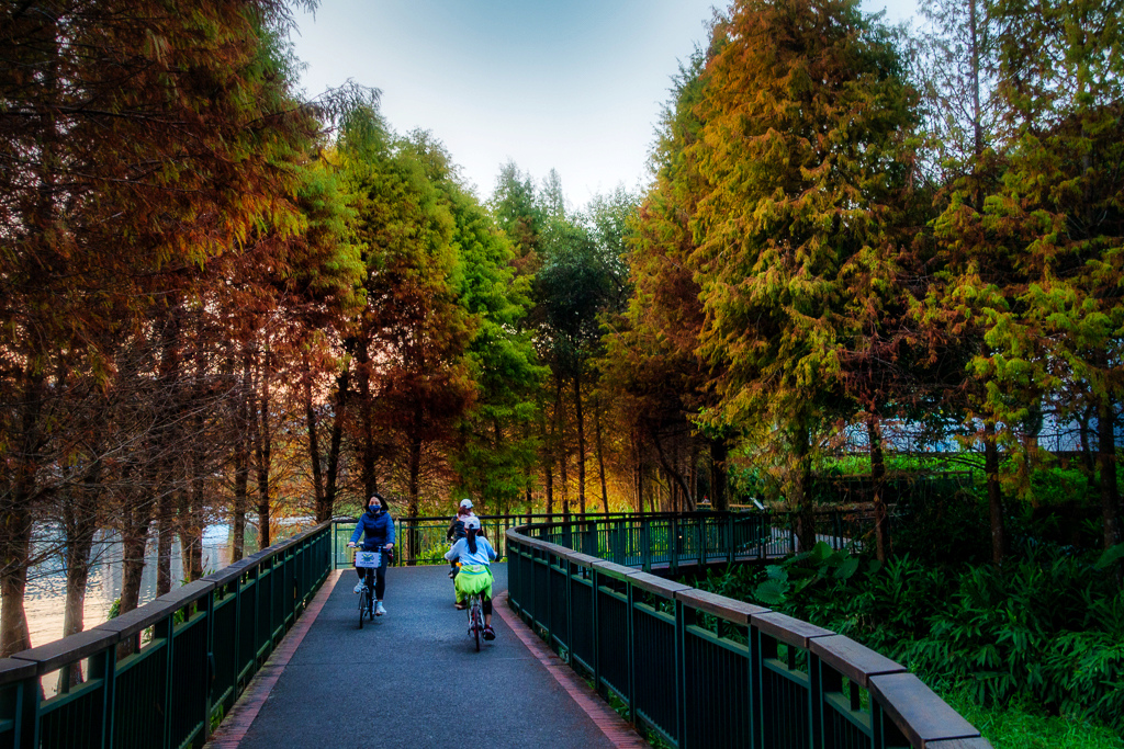 DSC06936-編輯.jpg DSC06936-編輯.jpg