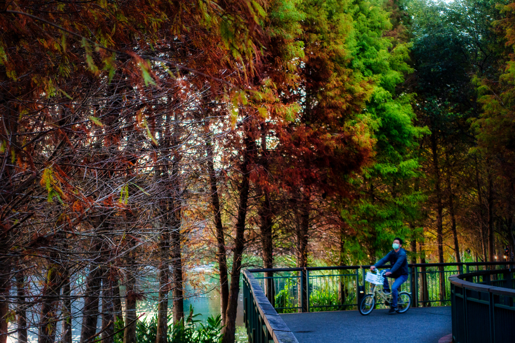 DSC06937-編輯.jpg DSC06937-編輯.jpg