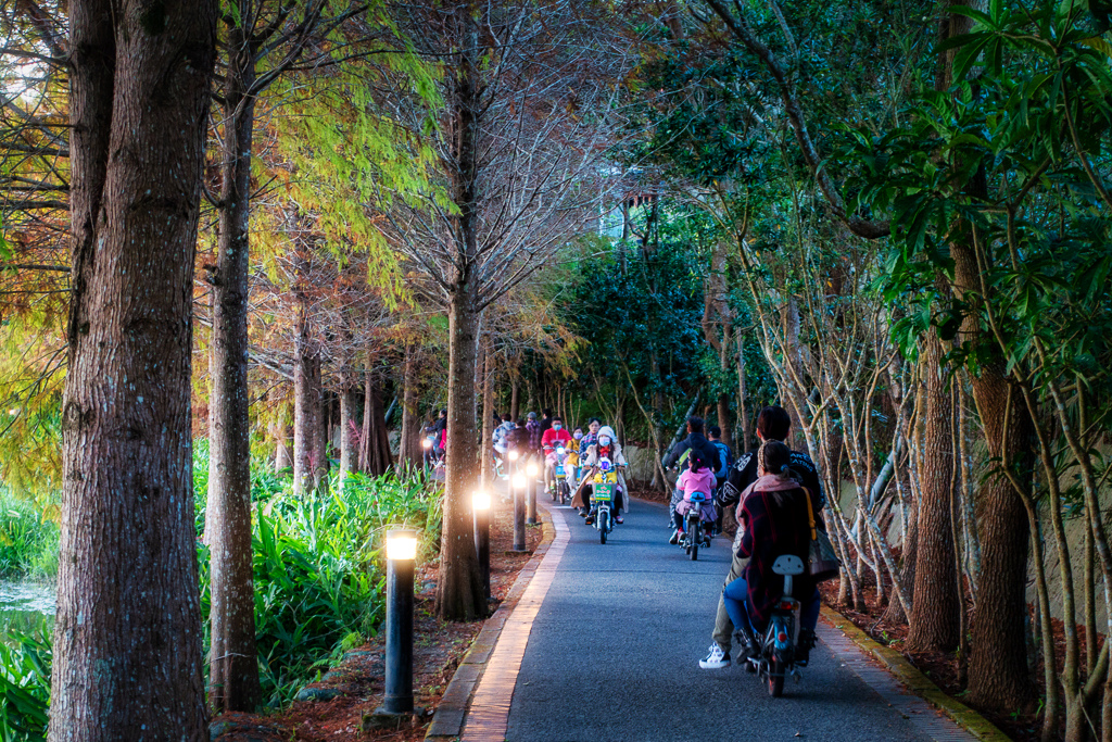 DSC06941-編輯.jpg DSC06941-編輯.jpg