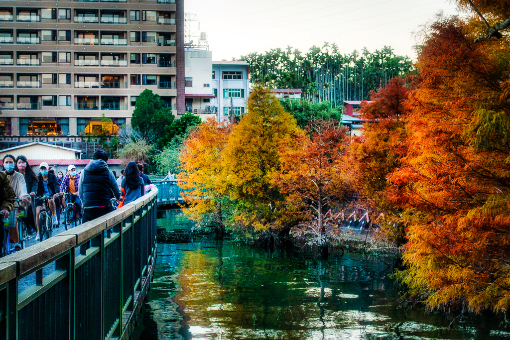 DSC06948-編輯.jpg DSC06948-編輯.jpg