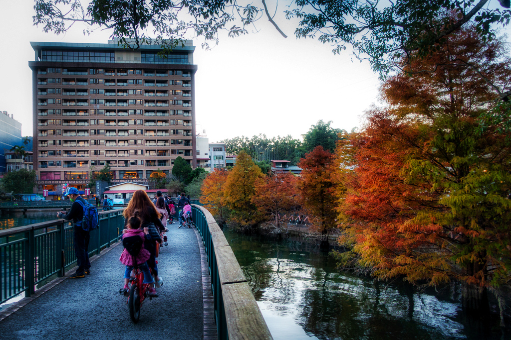 DSC06952-編輯.jpg DSC06952-編輯.jpg