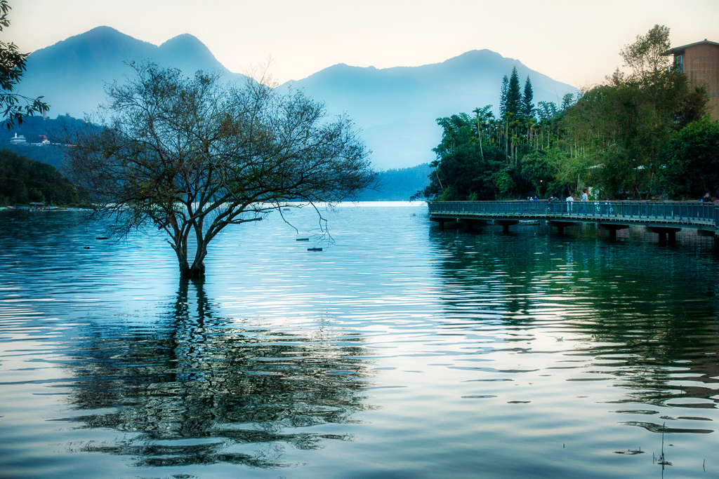 DSC06963-編輯.jpg DSC06963-編輯.jpg