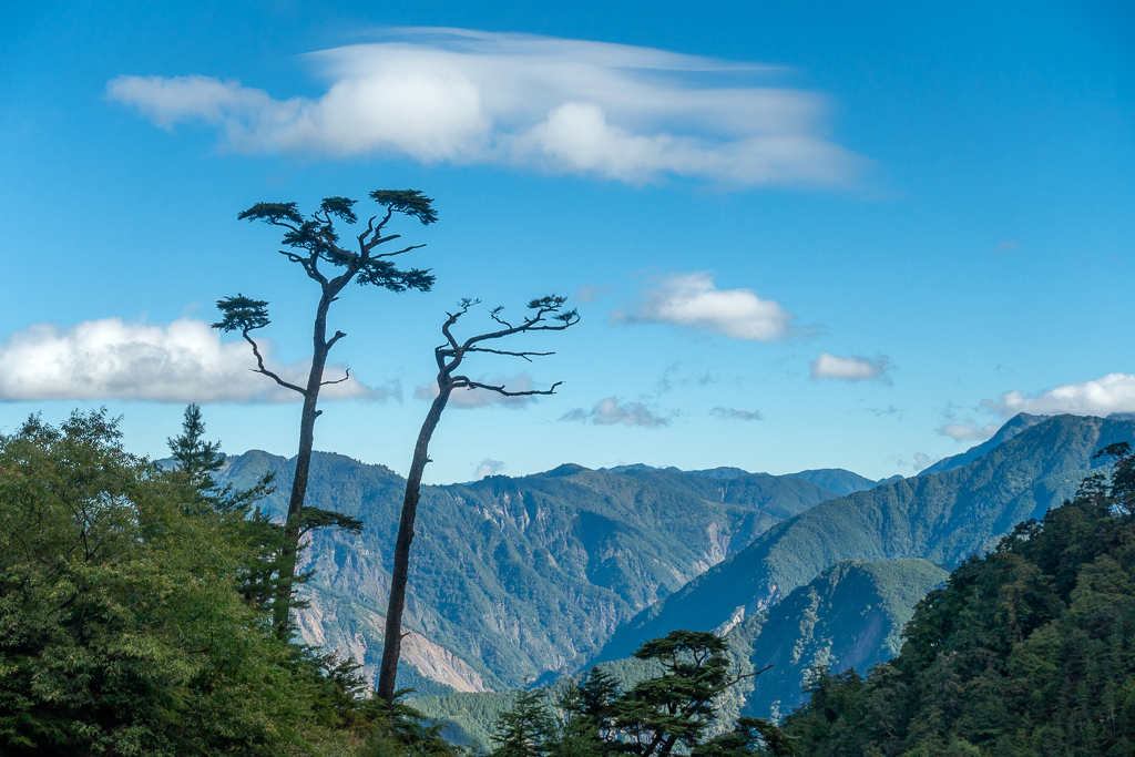 DSC08839.jpg DSC08839.jpg