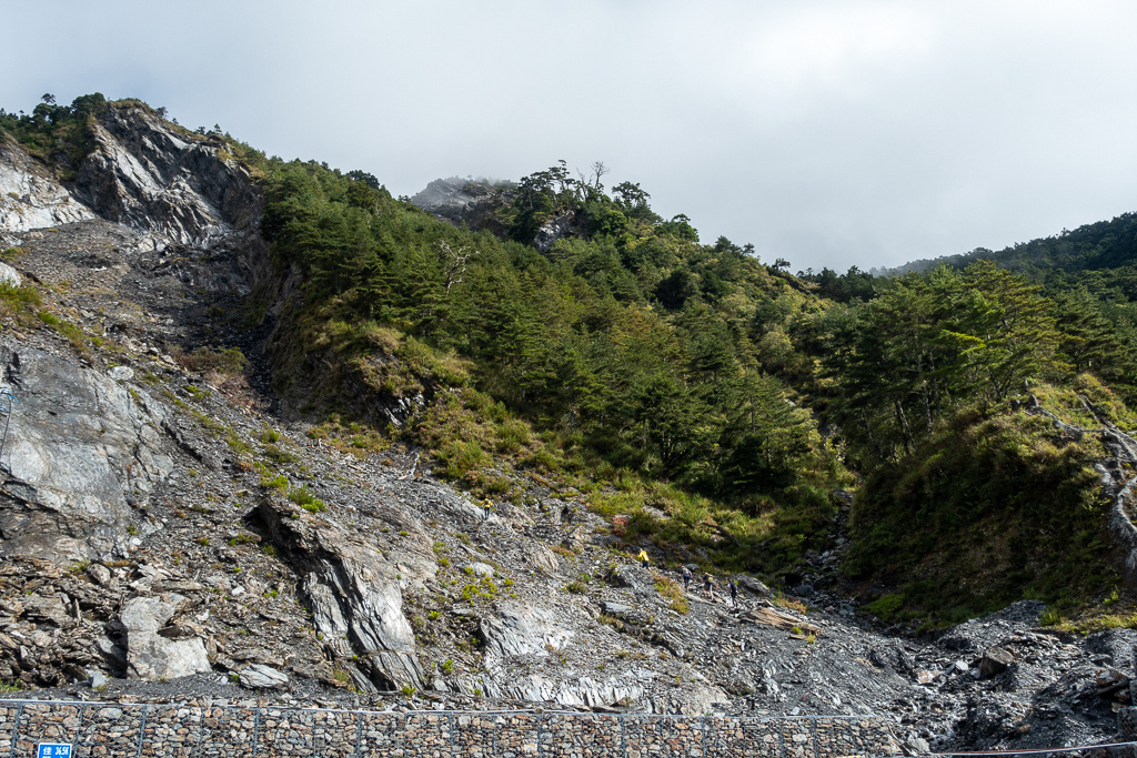 DSC08851.jpg DSC08851.jpg