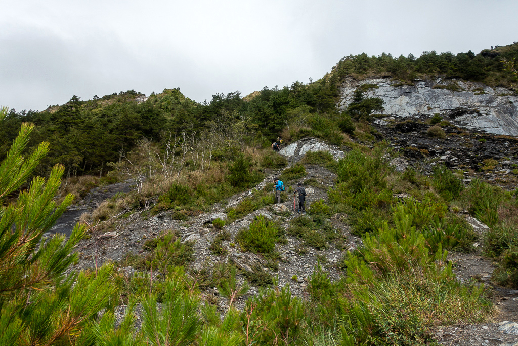 DSC08856.jpg DSC08856.jpg