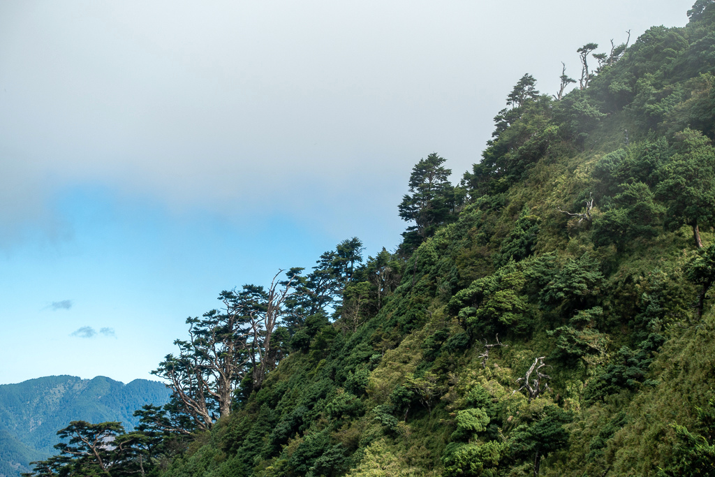 DSC08879.jpg DSC08879.jpg