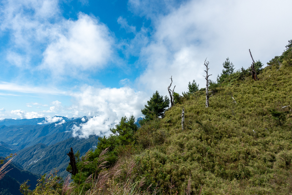 DSC08881.jpg DSC08881.jpg