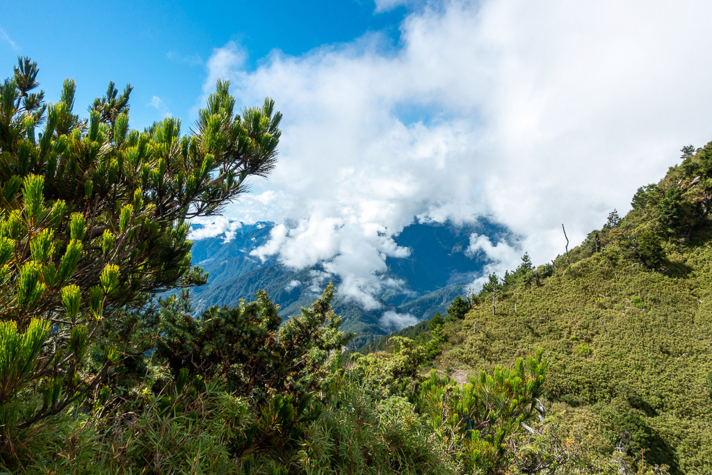 DSC08886.jpg DSC08886.jpg