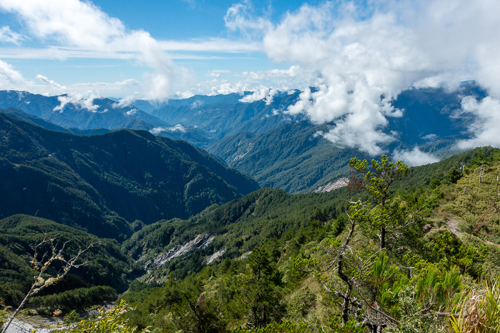 DSC08888.jpg DSC08888.jpg