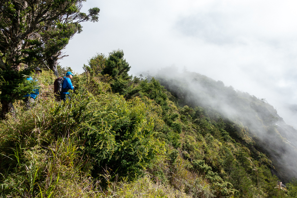 DSC08894.jpg DSC08894.jpg