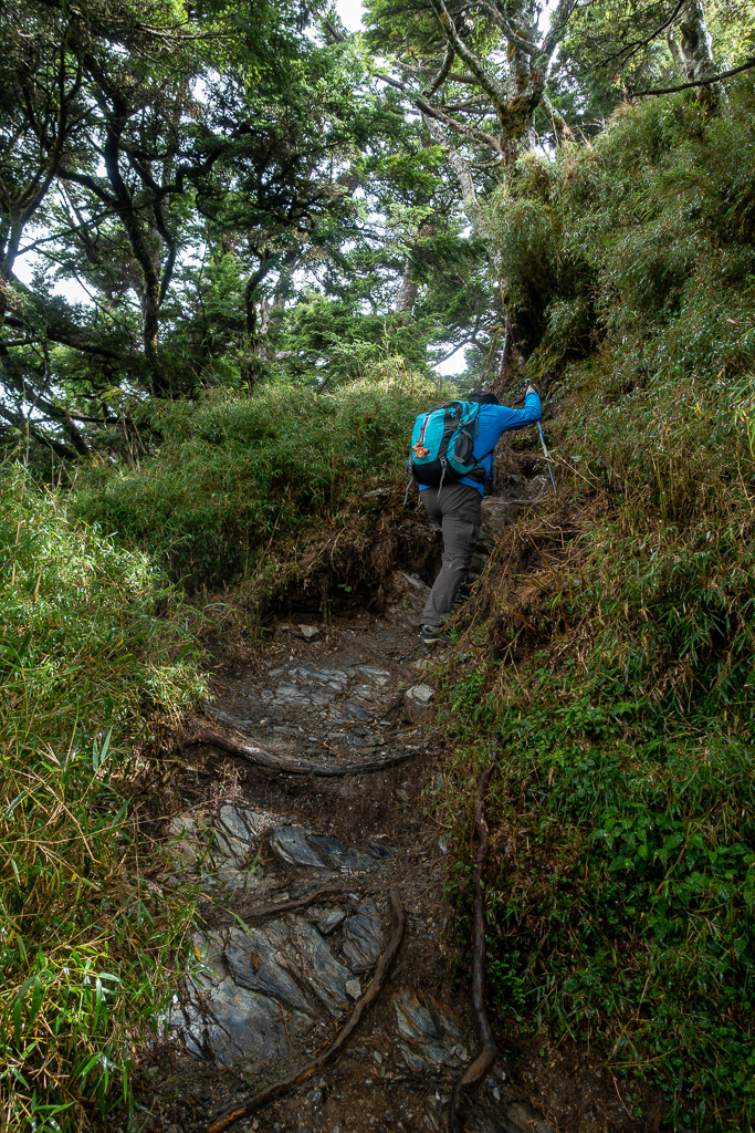 DSC08895.jpg DSC08895.jpg