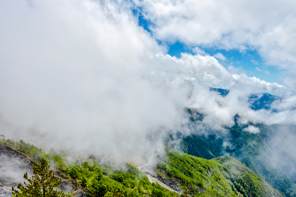 DSC08913-編輯.jpg DSC08913-編輯.jpg