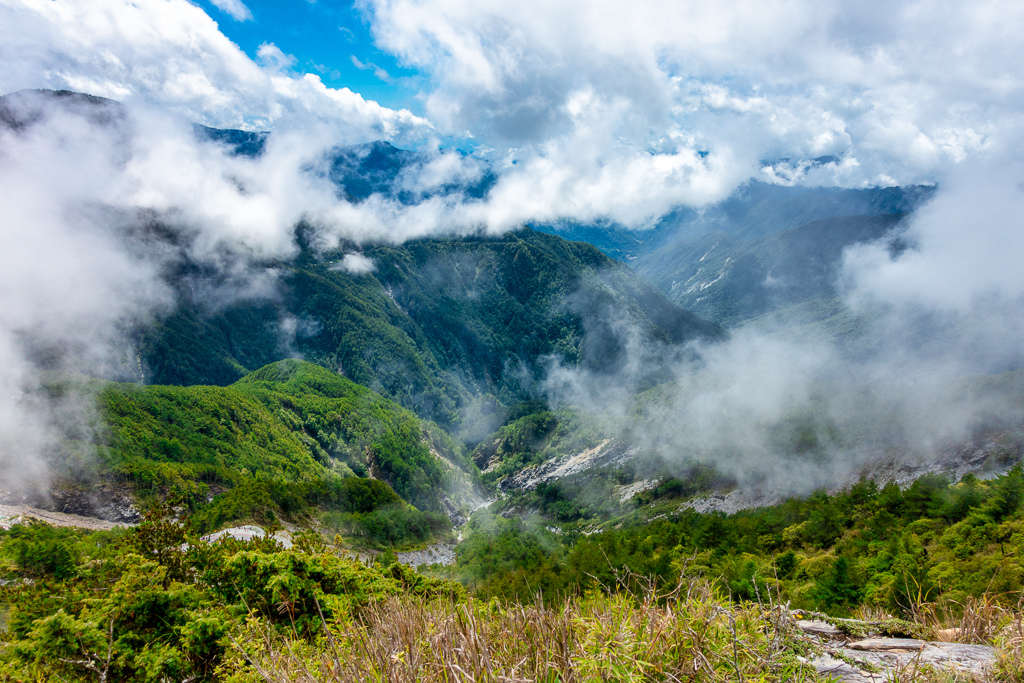 DSC08911-編輯.jpg DSC08911-編輯.jpg