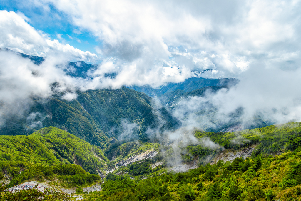 DSC08916-編輯.jpg DSC08916-編輯.jpg