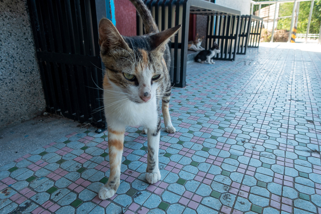 DSC08938.jpg DSC08938.jpg