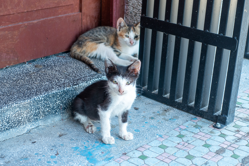 DSC08941.jpg DSC08941.jpg