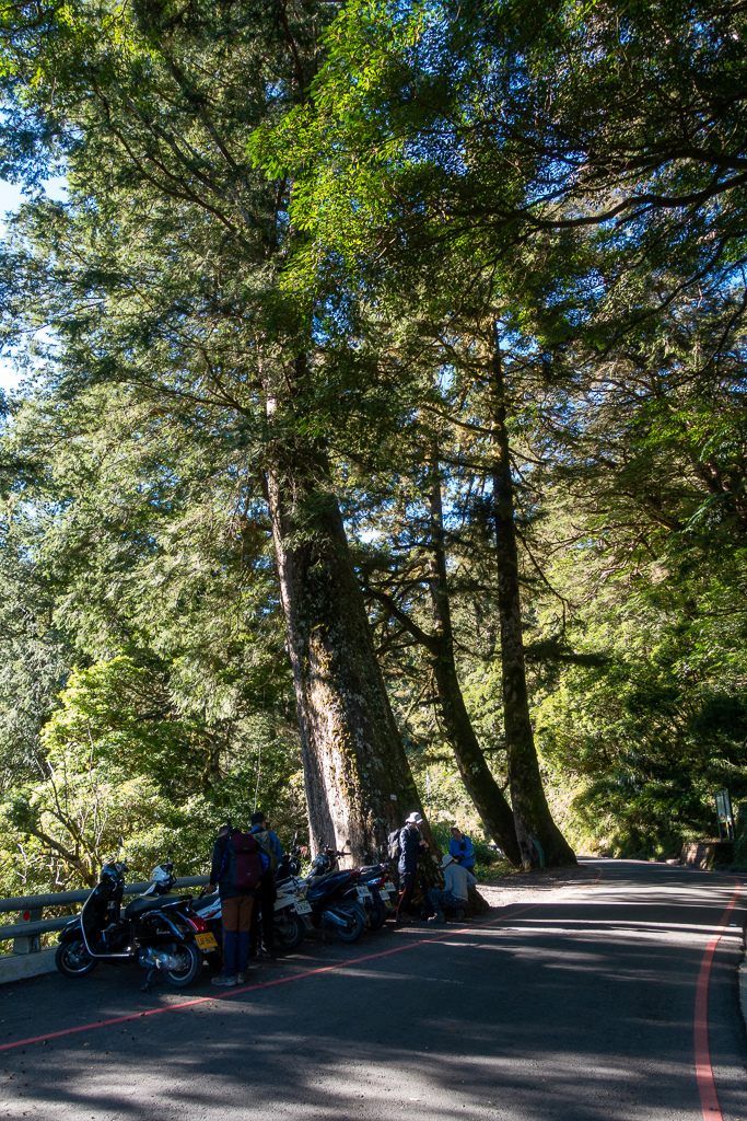 DSC08953.jpg DSC08953.jpg