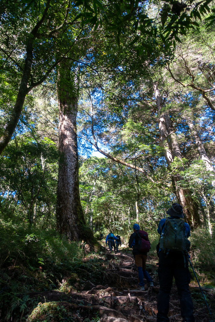 DSC08957.jpg DSC08957.jpg