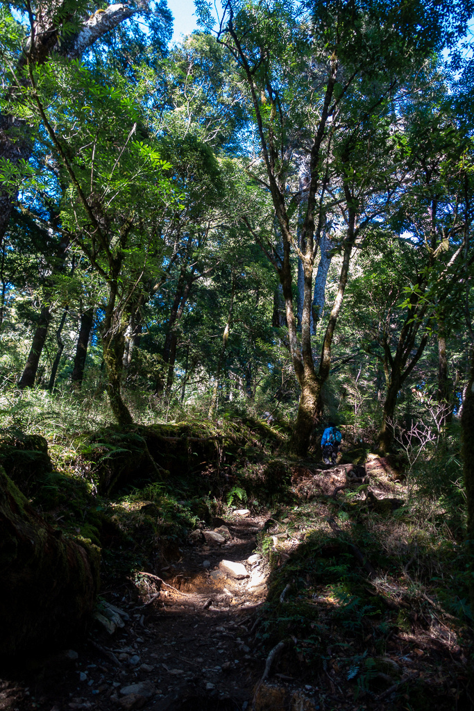 DSC08959.jpg DSC08959.jpg