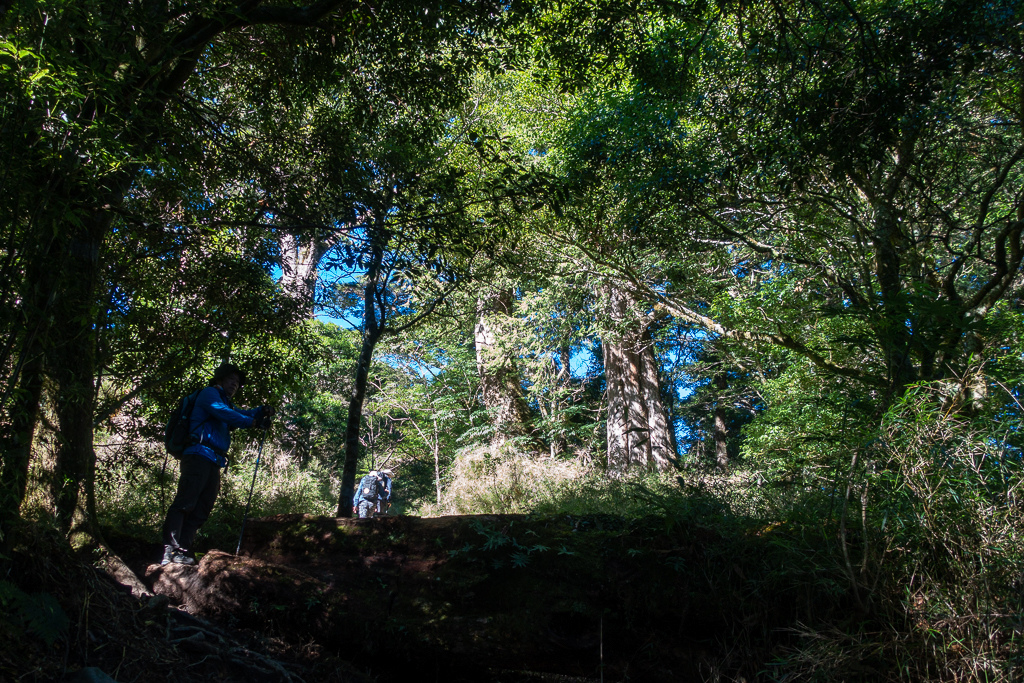 DSC08961.jpg DSC08961.jpg