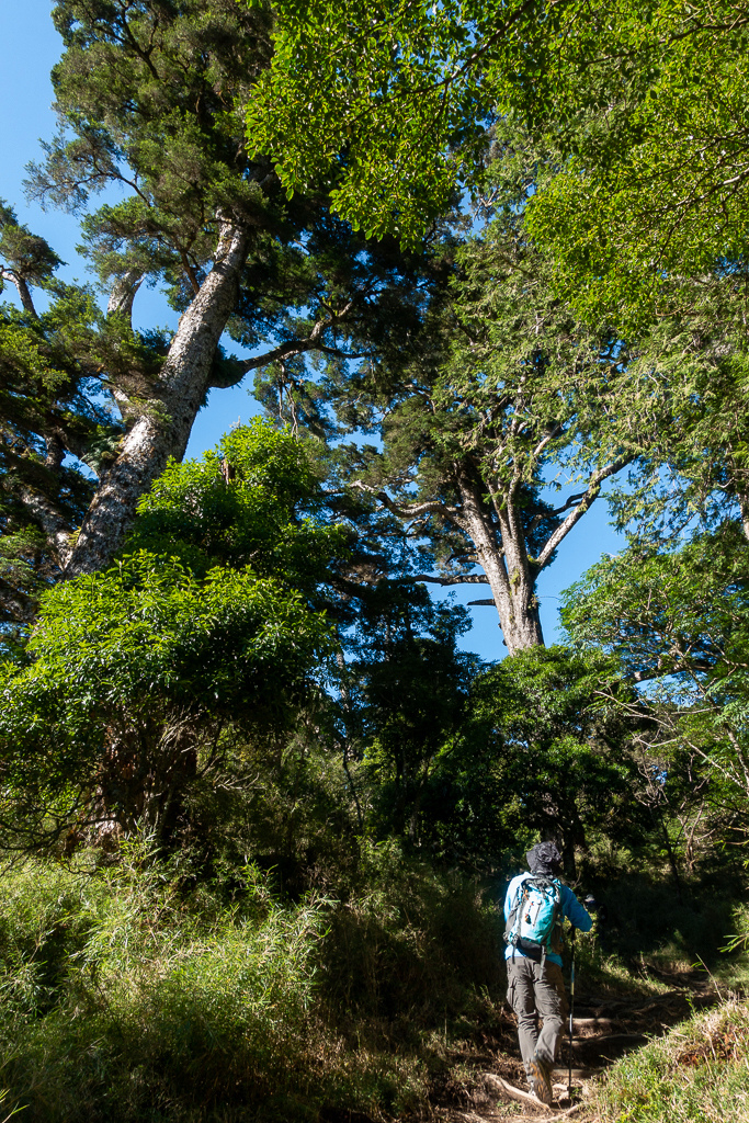 DSC08963.jpg DSC08963.jpg