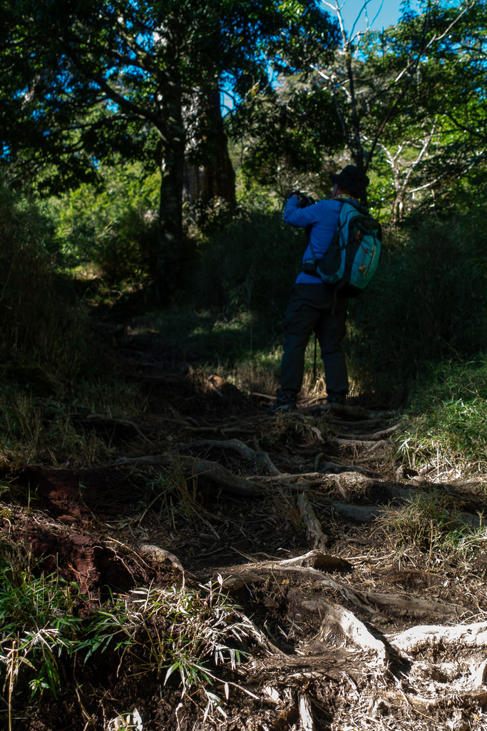 DSC08966.jpg DSC08966.jpg