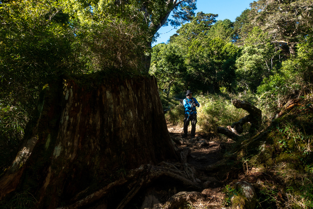 DSC08969.jpg DSC08969.jpg