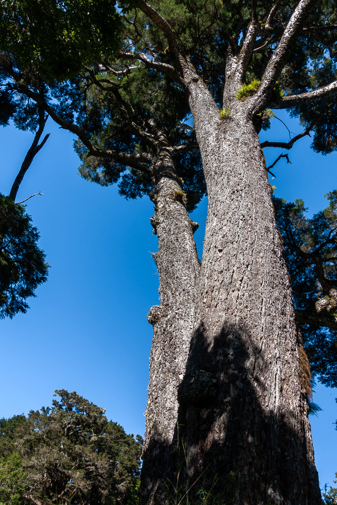 DSC08972.jpg DSC08972.jpg