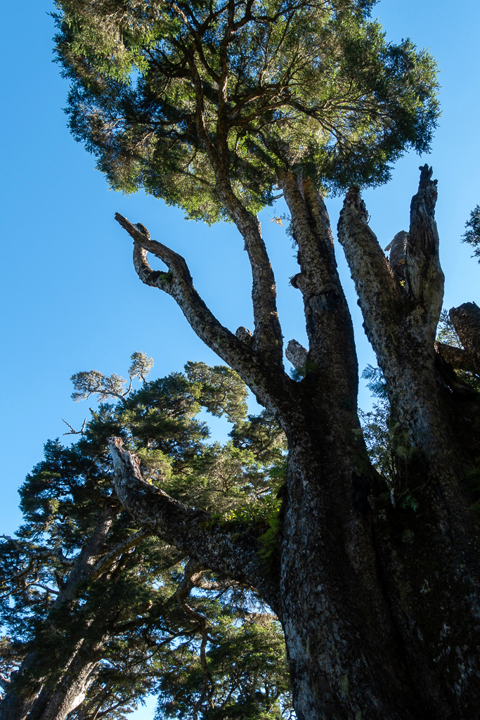 DSC08976.jpg DSC08976.jpg