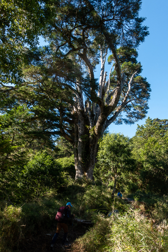 DSC08974.jpg DSC08974.jpg