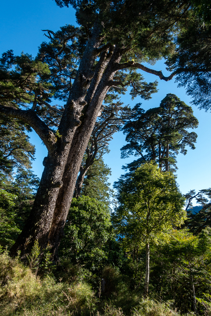 DSC08975.jpg DSC08975.jpg