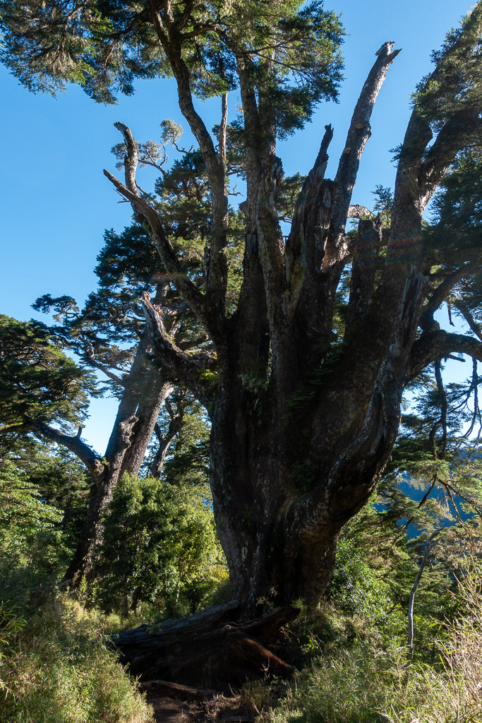 DSC08977.jpg DSC08977.jpg