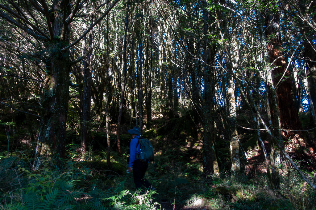 DSC08978.jpg DSC08978.jpg